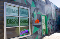 Life Flower Dispensary Rino