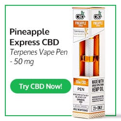 Pineapple Express CBD terpeny Vape Pen - 50mg