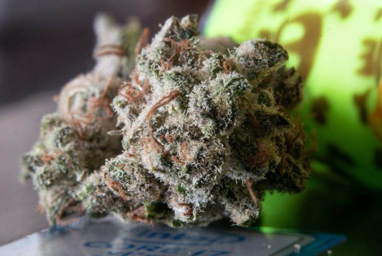 Wedding Cake Strain — A History of the Strain